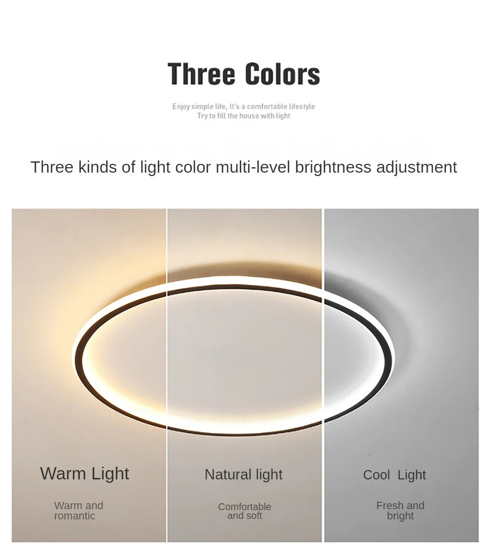 LED Modern Ceiling Light, Living Room, Bedroom, Hallway, Balcony, Circular Light, Pendant Lamp, Indoor Ceiling Lighting Fixture