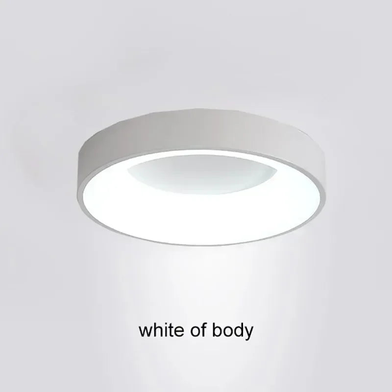 Nordic Ceiling Light Modern LED Simple Lamps For Living Room Bedroom Study Restaurant Home Indoor Round Decor Lighting Fixture