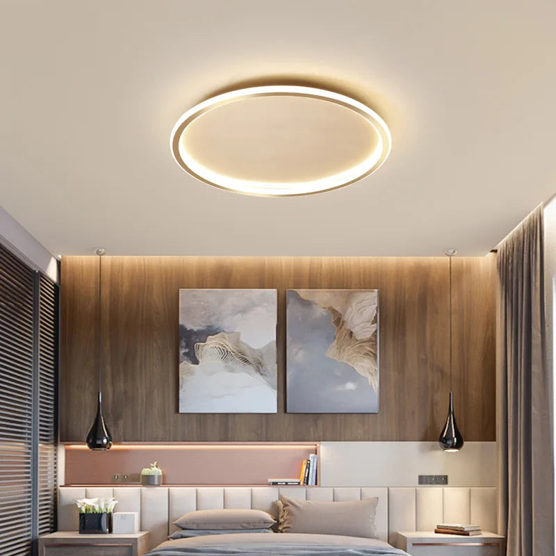 LED Modern Ceiling Light, Living Room, Bedroom, Hallway, Balcony, Circular Light, Pendant Lamp, Indoor Ceiling Lighting Fixture