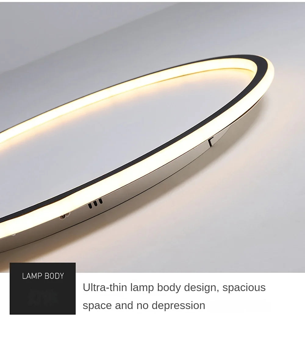 LED Modern Ceiling Light, Living Room, Bedroom, Hallway, Balcony, Circular Light, Pendant Lamp, Indoor Ceiling Lighting Fixture