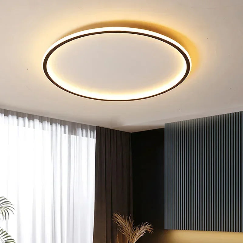 LED Modern Ceiling Light, Living Room, Bedroom, Hallway, Balcony, Circular Light, Pendant Lamp, Indoor Ceiling Lighting Fixture