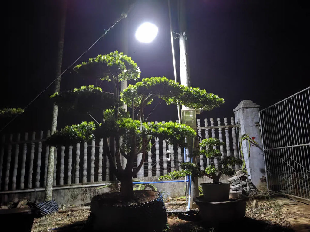 Outdoor Solar Lamp Wall Light with Motion Sensor Solar Energy Garden Street Lights Waterproof Outdoor Solar Lights