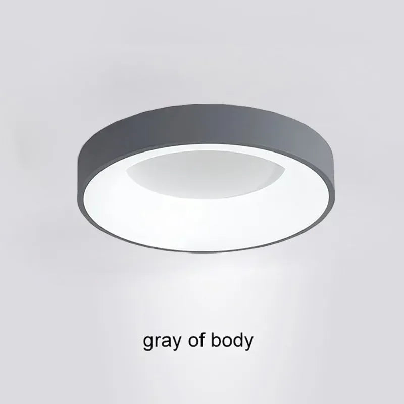 Nordic Ceiling Light Modern LED Simple Lamps For Living Room Bedroom Study Restaurant Home Indoor Round Decor Lighting Fixture