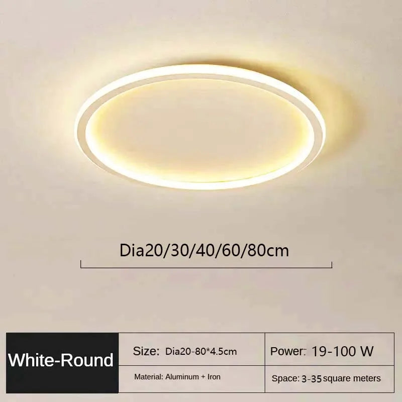 LED Modern Ceiling Light, Living Room, Bedroom, Hallway, Balcony, Circular Light, Pendant Lamp, Indoor Ceiling Lighting Fixture