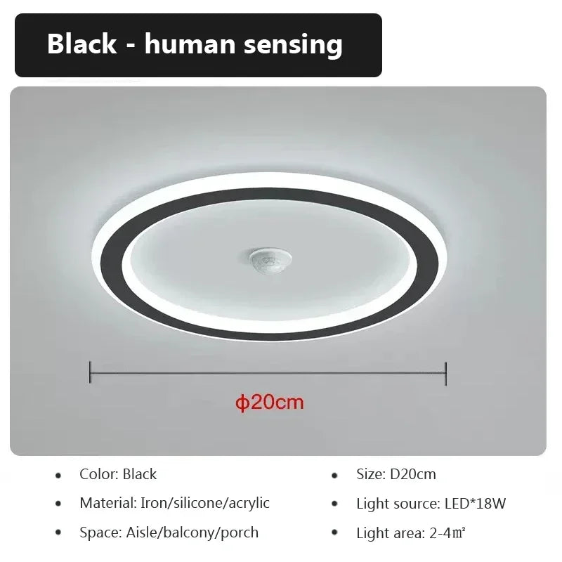 Modern LED Ceiling Lamp For Living Room Bedroom Aisle Corridor  Stairs Ceiling Light Motion Sensor Chandelier Lighting Fixture