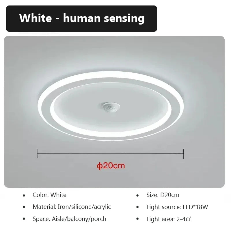 Modern LED Ceiling Lamp For Living Room Bedroom Aisle Corridor  Stairs Ceiling Light Motion Sensor Chandelier Lighting Fixture