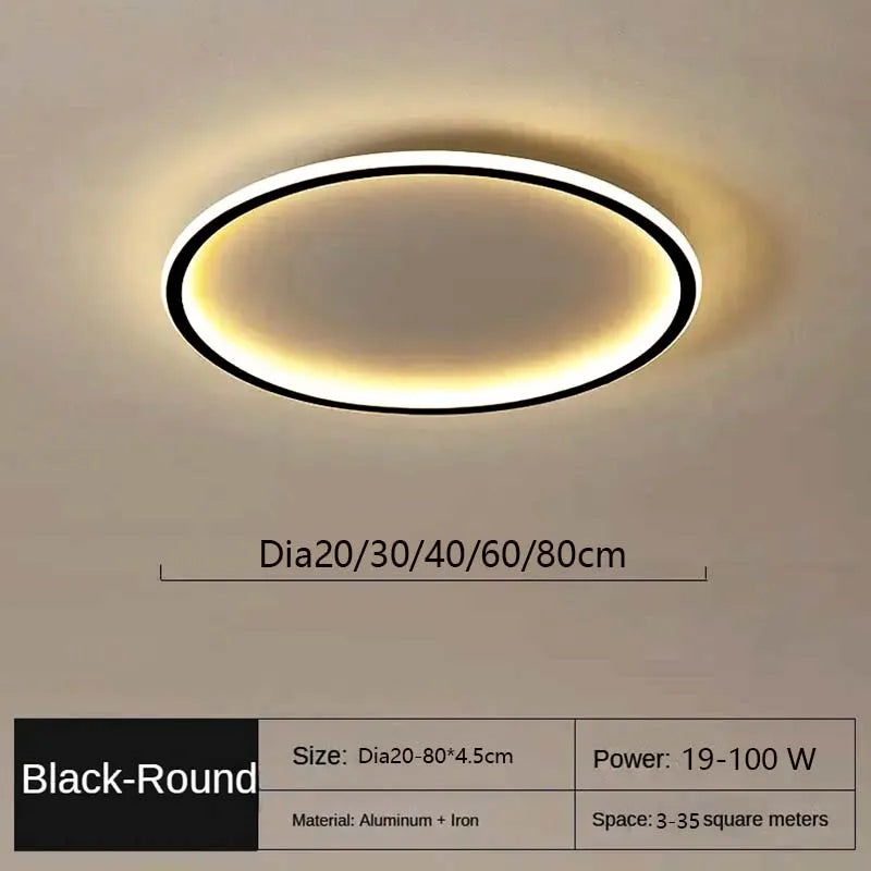 LED Modern Ceiling Light, Living Room, Bedroom, Hallway, Balcony, Circular Light, Pendant Lamp, Indoor Ceiling Lighting Fixture